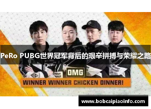 PeRo PUBG世界冠军背后的艰辛拼搏与荣耀之路